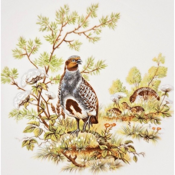 Pair of Bareuther Waldsassen Bavaria Germany Plate #254 Quail & Pheasant (read) - Picture 2 of 6